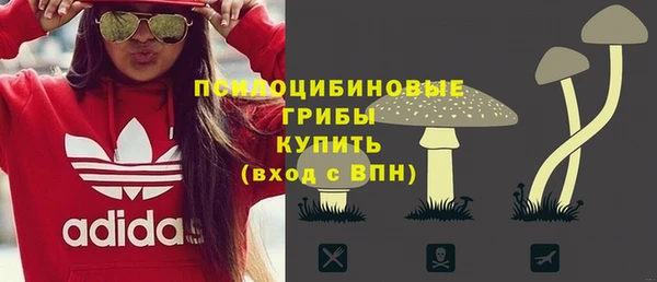 соль курить ск Бородино